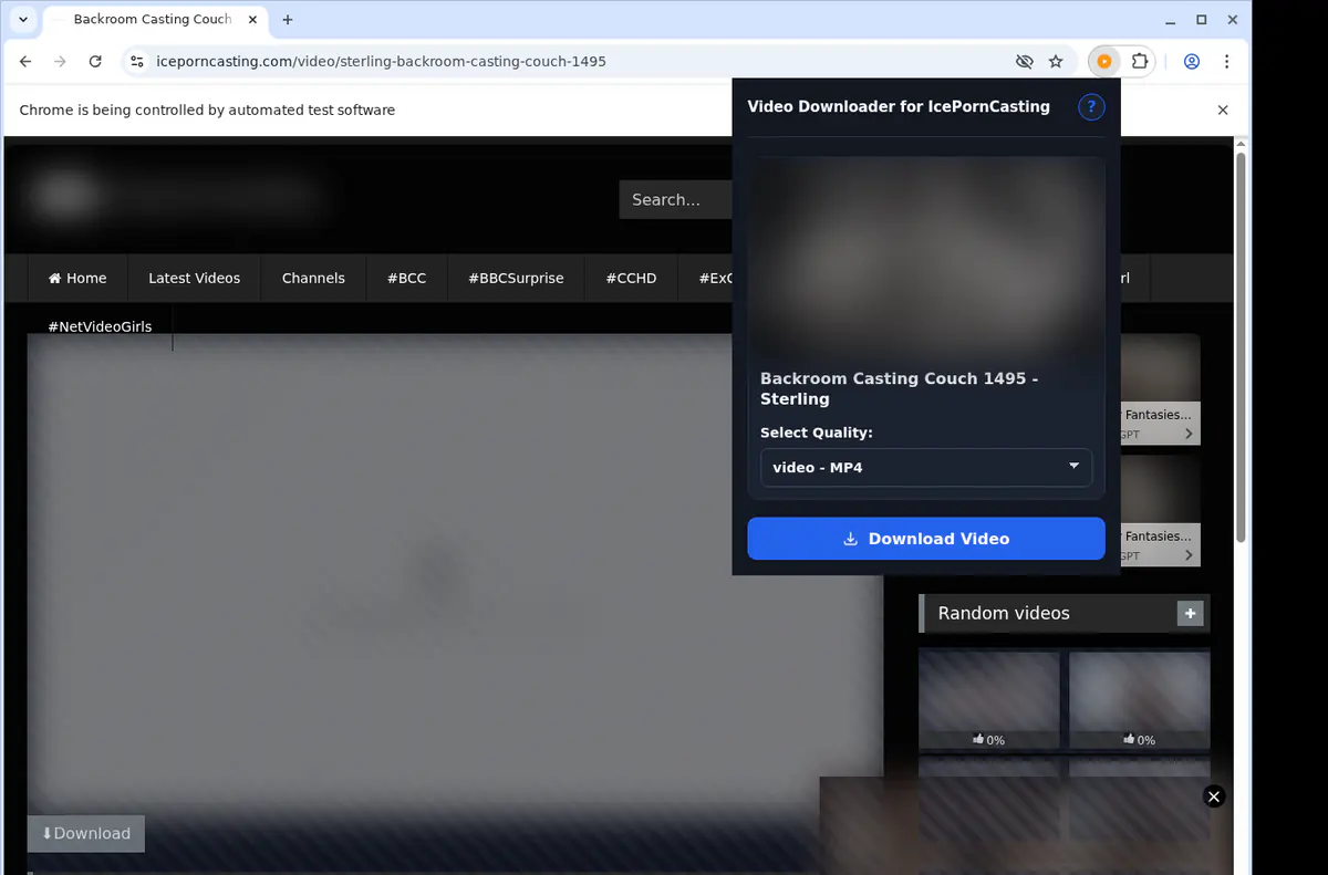 Iceporncasting Video Downloader browser extension screenshot 3